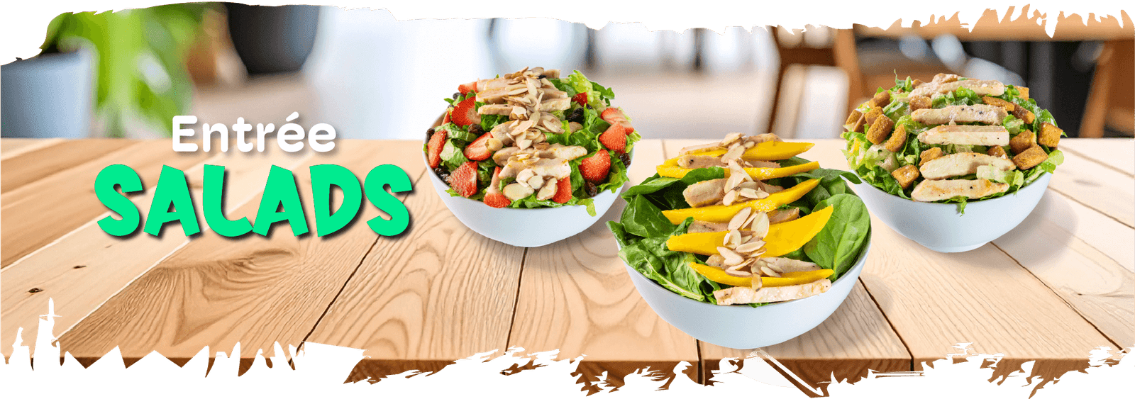 EntreeSalads